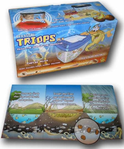 Triassic Triops Deluxe Kit