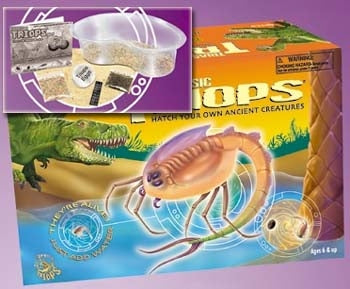 Standard Triassic Triops Kit